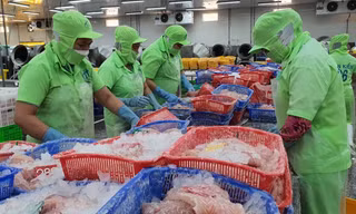 Xuất hiện thị trường trọng điểm mới của cá tra Việt