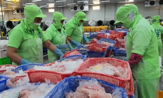 Doanh nghiệp 'kêu' phải tiếp quá nhiều đoàn thanh tra