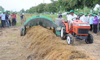 Mỗi năm Việt Nam có 47 triệu tấn rơm rạ phải 'biến thành tiền'
