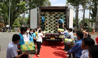 Xuất khẩu lô xoài đầu năm sang Châu Âu