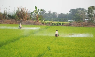 Dùng thuốc bảo vệ thực vật an toàn, hiệu quả để bảo vệ sức khỏe và môi trường
