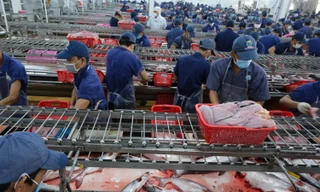 Xuất khẩu thủy sản năm mới có sáng hơn?