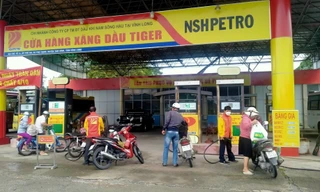 Công ty xăng dầu trần tình việc bị cơ quan thuế 'sờ gáy'