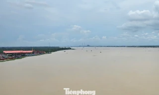 Xâm nhập mặn đe dọa ĐBSCL ra sao?