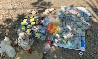 Triệt phá loạt tụ điểm đá gà dịp Tết