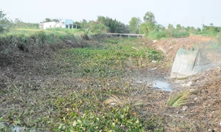 Miền Tây chuẩn bị đón đợt xâm nhập mặn sâu