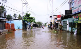 Vỡ đê bao, hơn 200 hộ dân bị chìm trong biển nước