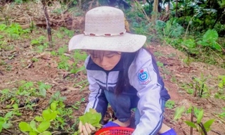 Nữ sinh cuốc cỏ, chặt mía thuê và nỗ lực thành thủ khoa đầu vào trường Đại học KHXH&NV