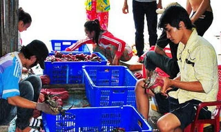 Thương lái Trung Quốc làm gì ở mũi Cà Mau?