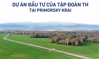 Tập đoàn TH khởi công thêm dự án bò sữa tại vùng Viễn Đông của Nga với hàng loạt ưu đãi