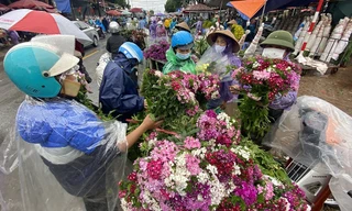 'Thủ phủ' hoa lớn nhất miền bắc tấp nập người mua bán ngày giáp Tết