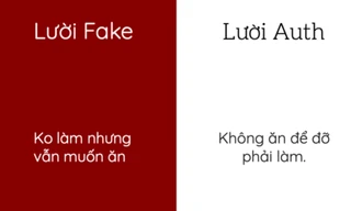 Từ điển “lười fake”, “lười auth” - Đến hội lười cũng... gạt lười mà “thả tim” ầm ầm