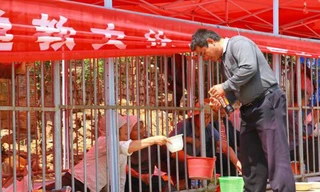 Tự nhốt mình trong lồng sắt để ...ăn xin