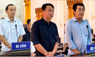 Cấp đất sai quy định, 3 cán bộ Phú Quốc lĩnh án tù