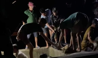 Người đàn ông tử vong khi lặn đục hàu tại Cà Mau