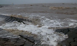 Triều cường dâng cao, sóng lớn làm sạt lở nghiêm trọng đê biển Cà Mau