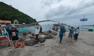 Lốc xoáy làm sập nhà chờ bến cảng, 1 khách du lịch tử vong