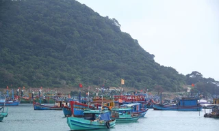 Chủ tịch Kiên Giang bị kiểm điểm vì để tàu cá vi phạm vùng biển nước ngoài 