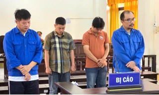 Hợp thức hoá xe không giấy tờ, cựu công an và cán bộ xã lãnh án