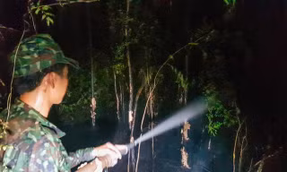 Hàng trăm người tham gia chữa cháy rừng ở khu vực biên giới Kiên Giang