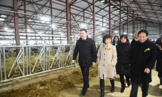 Lãnh đạo tỉnh tỉnh Moscow, đại sứ quán Việt Nam và bà Thái Hương thăm trang trại bò sữa đầu tiên của Tập đoàn TH trên đất Nga
