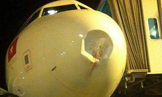 Vụ máy bay Vietjet va phải chim xảy ra vào năm 2015 