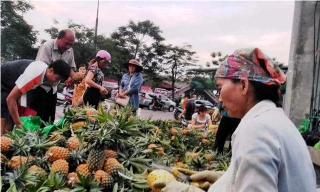 Nông dân trực tiếp mang dứa ra tiêu thụ tại Hà Nội (ảnh chụp tại điểm bán cổng công viên Thống Nhất)