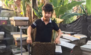 Nam sinh Cần Thơ khởi nghiệp từ ong chúa