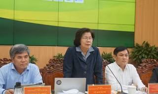 Họp báo