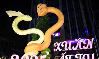 Linh vật rắn tạo hình trái tim tình yêu trên đường hoa Xuân dài 300m ở Cần Thơ