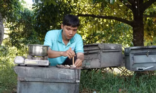 Thanh niên Cần Thơ khởi nghiệp từ nuôi ong