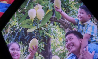 Trải nghiệm công nghệ thực tế ảo 'Vương quốc xoài Đồng Tháp'