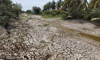 Vì sao lượng nước về Đồng bằng sông Cửu Long ngày càng giảm?