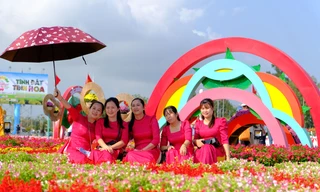 Vượt hàng trăm cây số để ngắm hoa tại Đồng Tháp