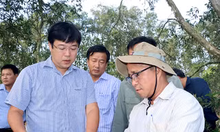 Bí thư Đồng Tháp: Phục hồi sinh cảnh tự nhiên Vườn Tràm Chim, phát triển đàn sếu đầu đỏ