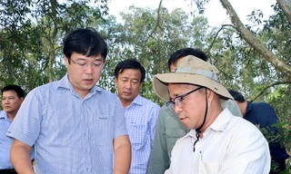 Bí thư Đồng Tháp: Phục hồi sinh cảnh tự nhiên Vườn Tràm Chim, phát triển đàn sếu đầu đỏ