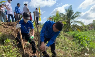 Trao tặng cây cho 5 huyện, thành phố ở Đồng Tháp, trị giá gần 2,5 tỉ đồng