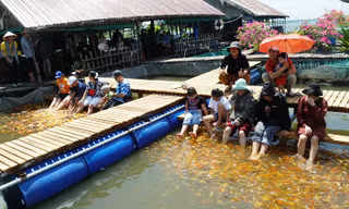 Điểm du lịch nào hút khách nhất miền Tây?