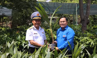 Dừa Bến Tre đến Trường Sa