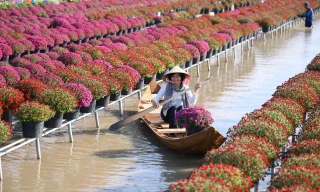 Thủ phủ hoa Sa Đéc khai hội xuân, đón Tết sớm