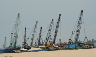 Chuyên gia WWF: 'Trữ lượng cát ở ĐBSCL sẽ cạn kiệt trong 12 năm nữa'