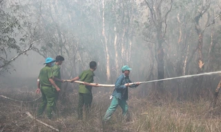 Đồng Tháp họp khẩn, thông tin nguyên nhân ban đầu vụ cháy Vườn Quốc gia Tràm Chim