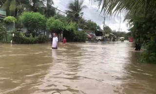 Mưa to kéo dài, tỉnh lộ 955B ở An Giang chìm trong 'biển nước'