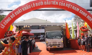 Việt Nam xuất khẩu 40 tấn bưởi đầu tiên sang Hoa Kỳ