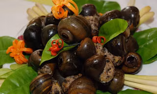 Món ăn - bài thuốc từ ốc nhồi