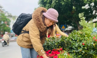 Chợ hoa Hoàng Hoa Thám rực rỡ, náo nhiệt mùa cận Tết