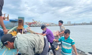 Ngư dân miền Trung tất bật chuẩn bị vươn khơi sau bão số 4