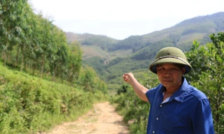 Nghịch lý ở Tuyên Quang: Đập tích nước, dân vẫn thiếu nước – mất cả ruộng lẫn rừng