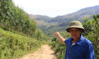Nghịch lý ở Tuyên Quang: Đập tích nước, dân vẫn thiếu nước – mất cả ruộng lẫn rừng