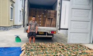 Thu giữ 5,3 tấn chân gà rút xương không rõ nguồn gốc tại Tuyên Quang